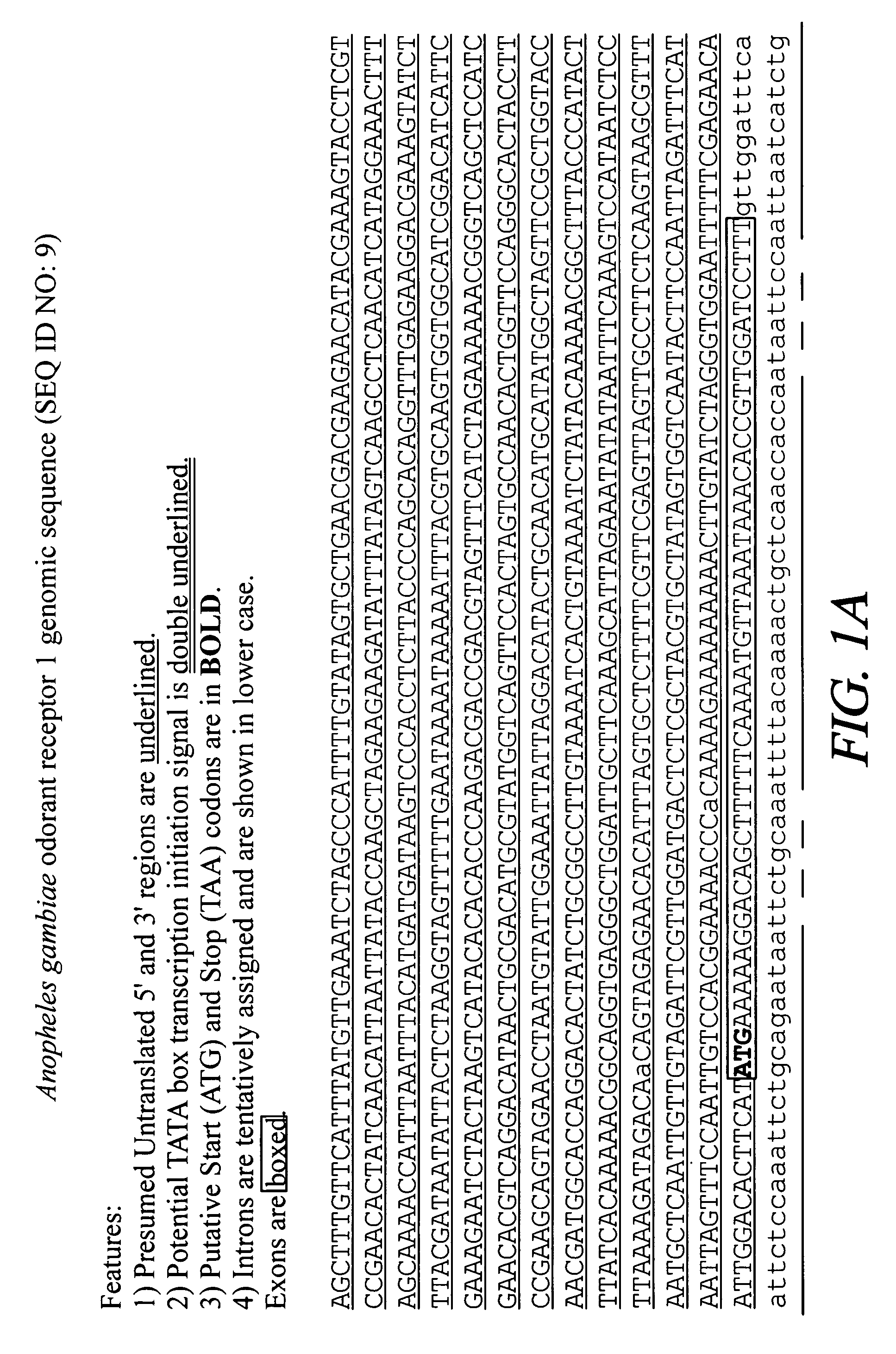 Mosquito arrestin 1 polypeptides