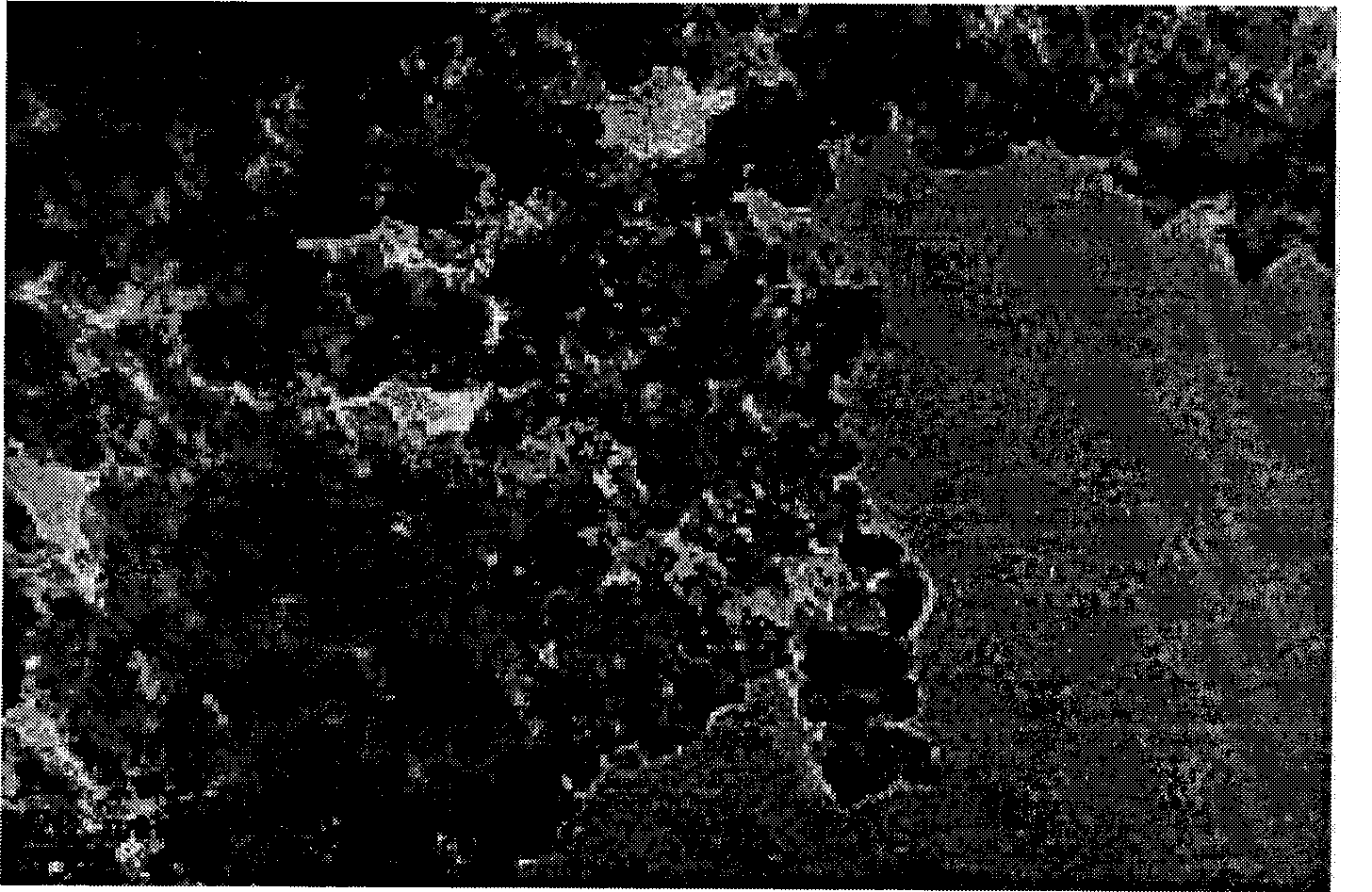 Preparation of precise resistance/strain sensitive conductive silicon rubber