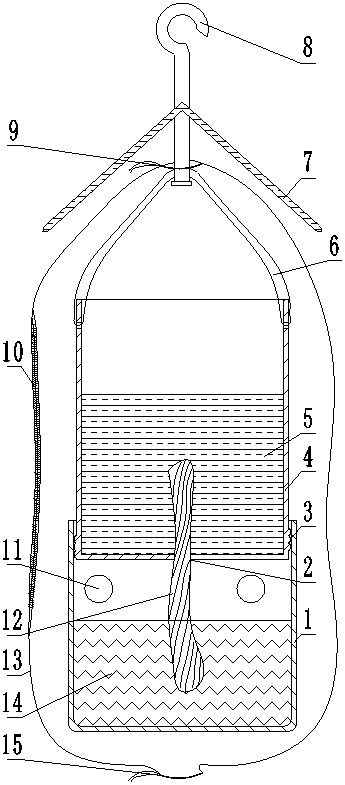 A green branch insect raising device that can observe the life history of forest tree species and real pests