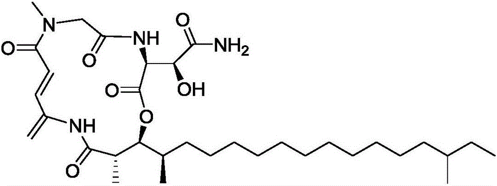 Application of Rakicidins compounds in resistance to clinical pathogenic anaerobic bacteria