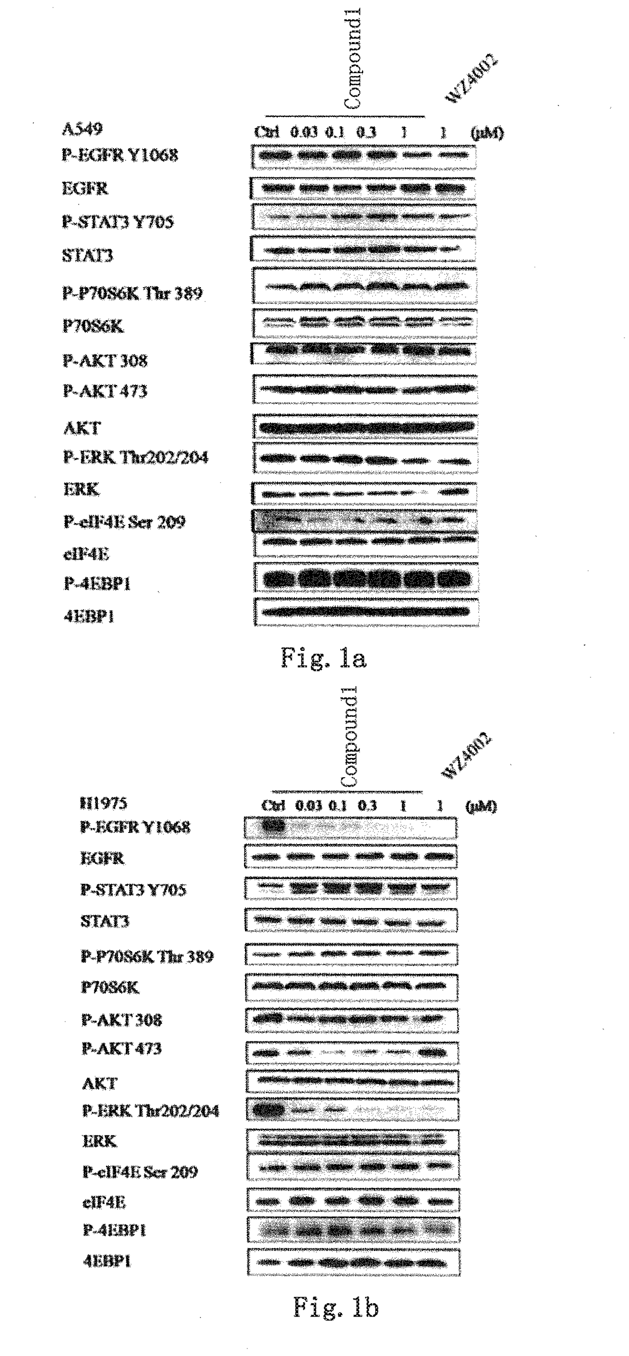 Novel EGFR and alk dual inhibitor