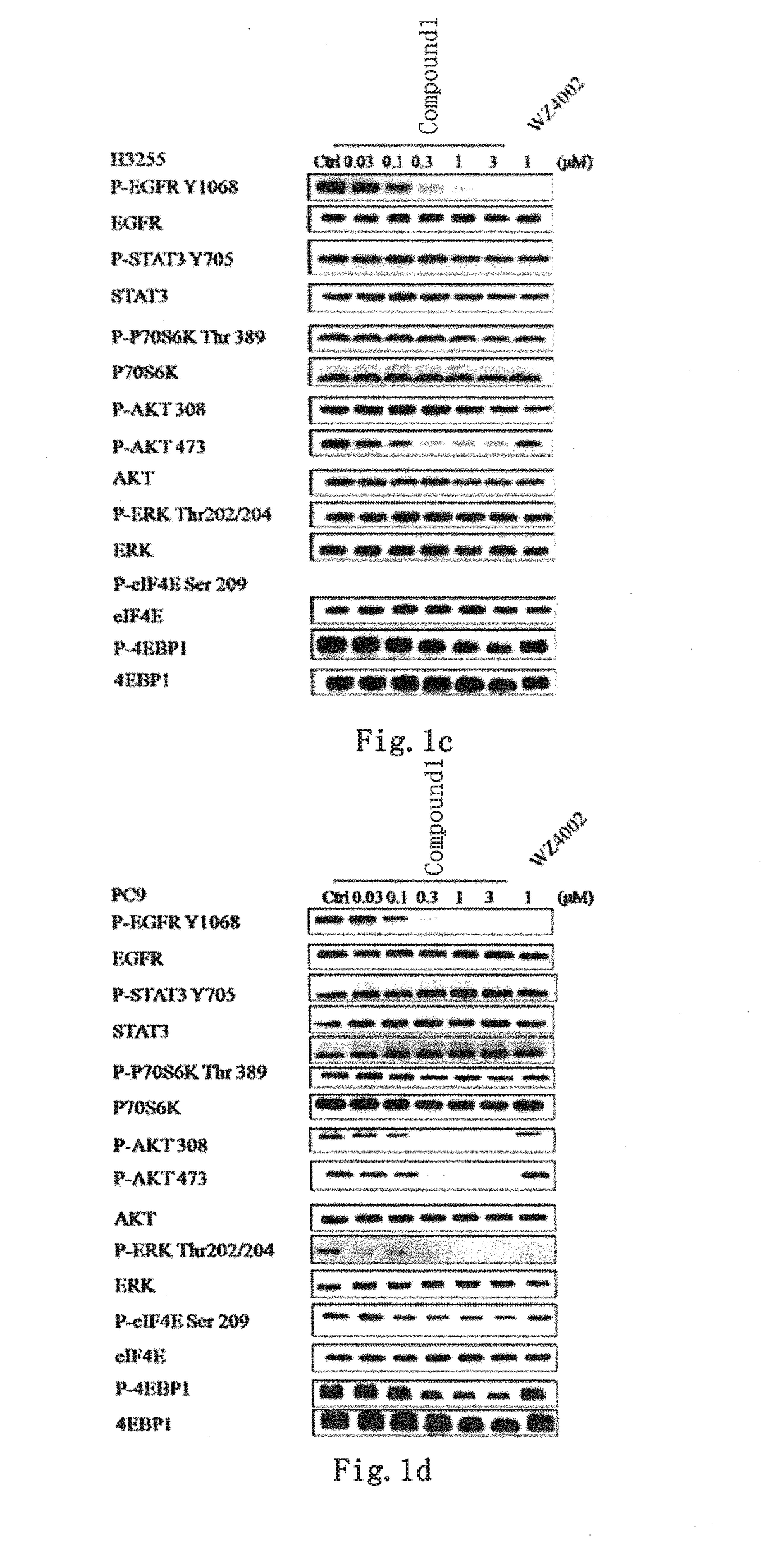 Novel EGFR and alk dual inhibitor