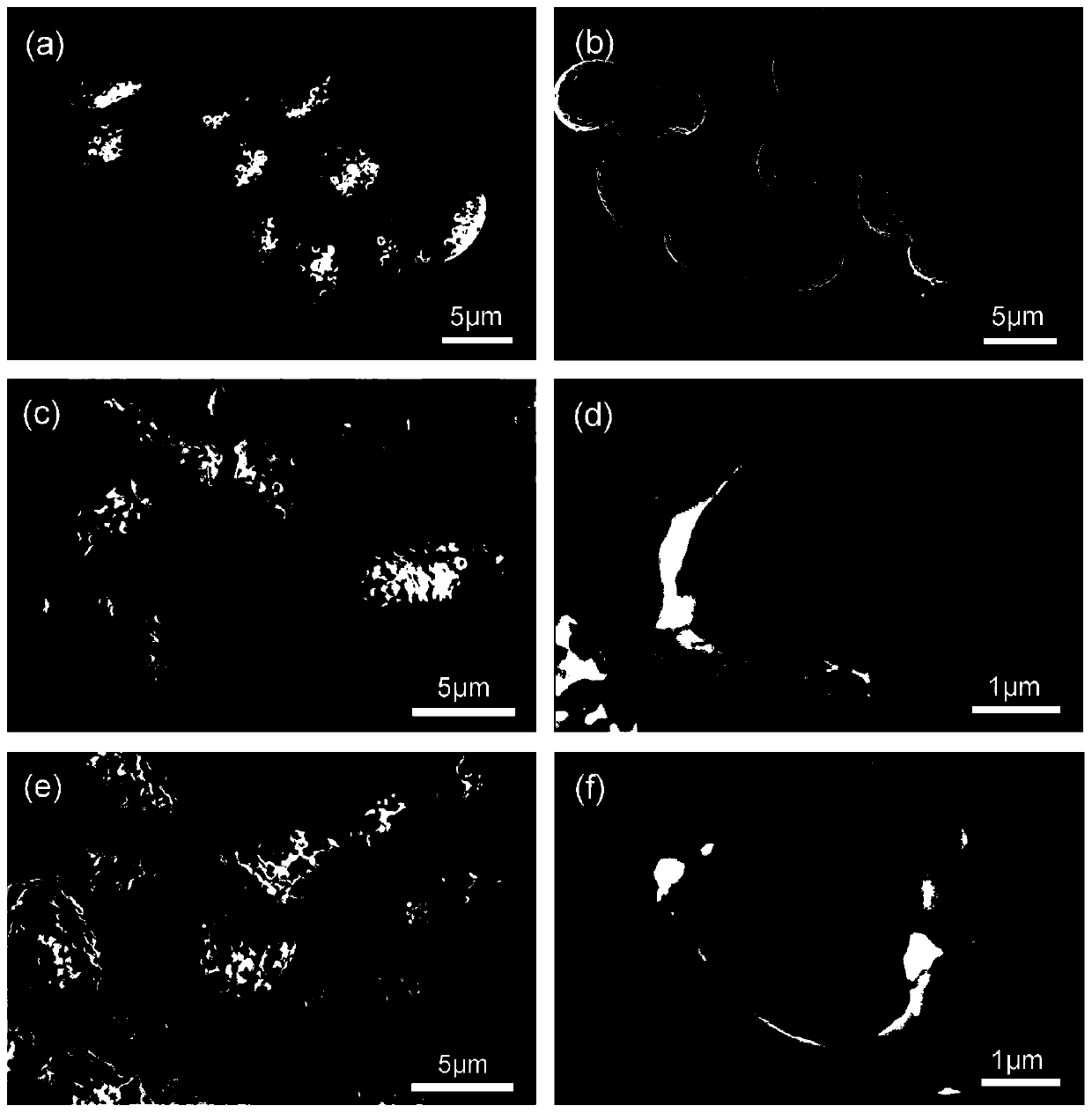 Preparation method of fluorouracil targeted slow release drugs based on ganoderma spores