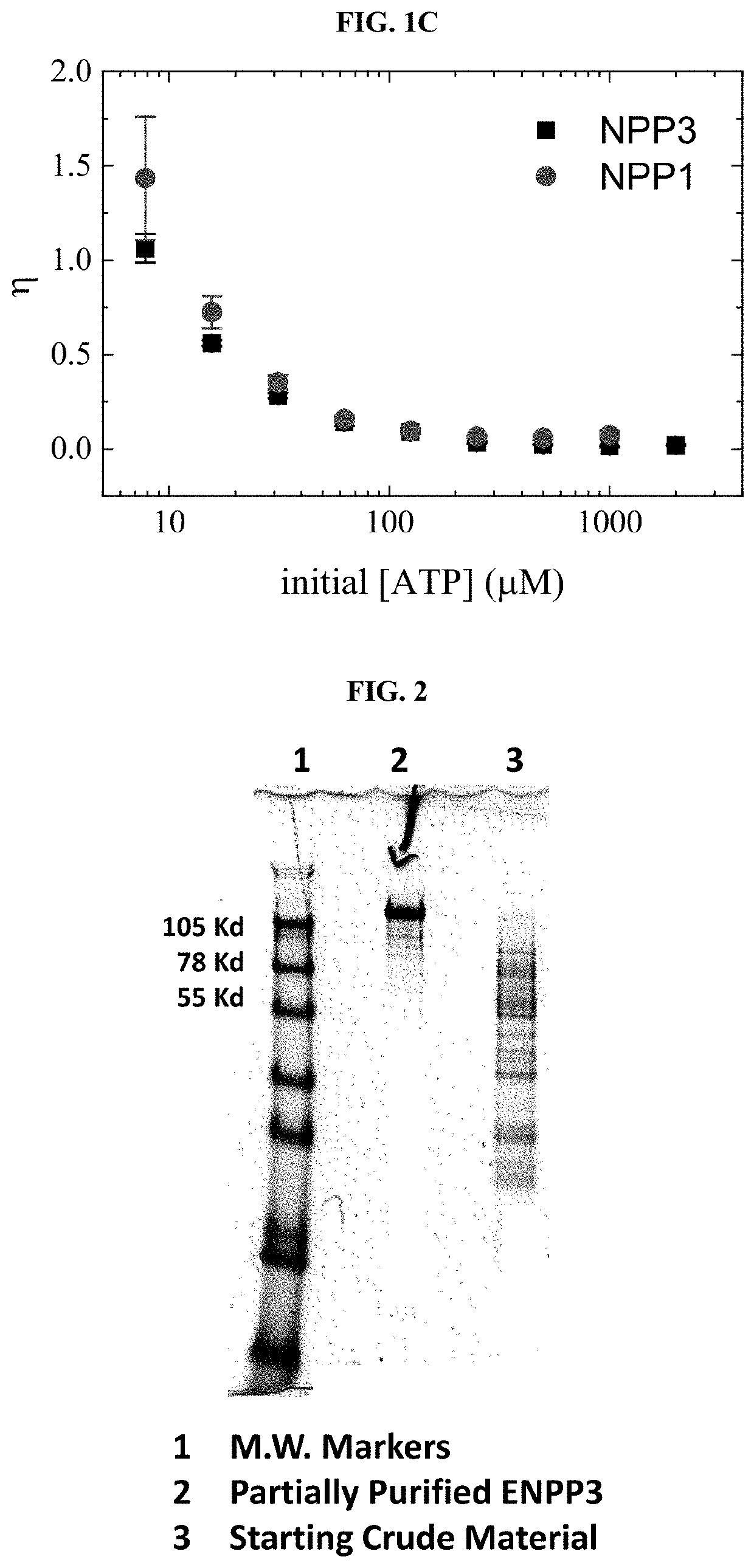 Compositions for Treating Ectopic Calcification Disorders, and Methods Using Same