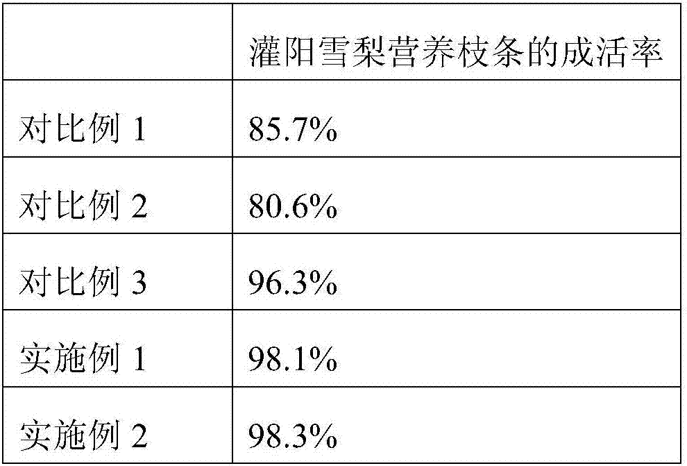 Cultivation method for Guanyang snow pear