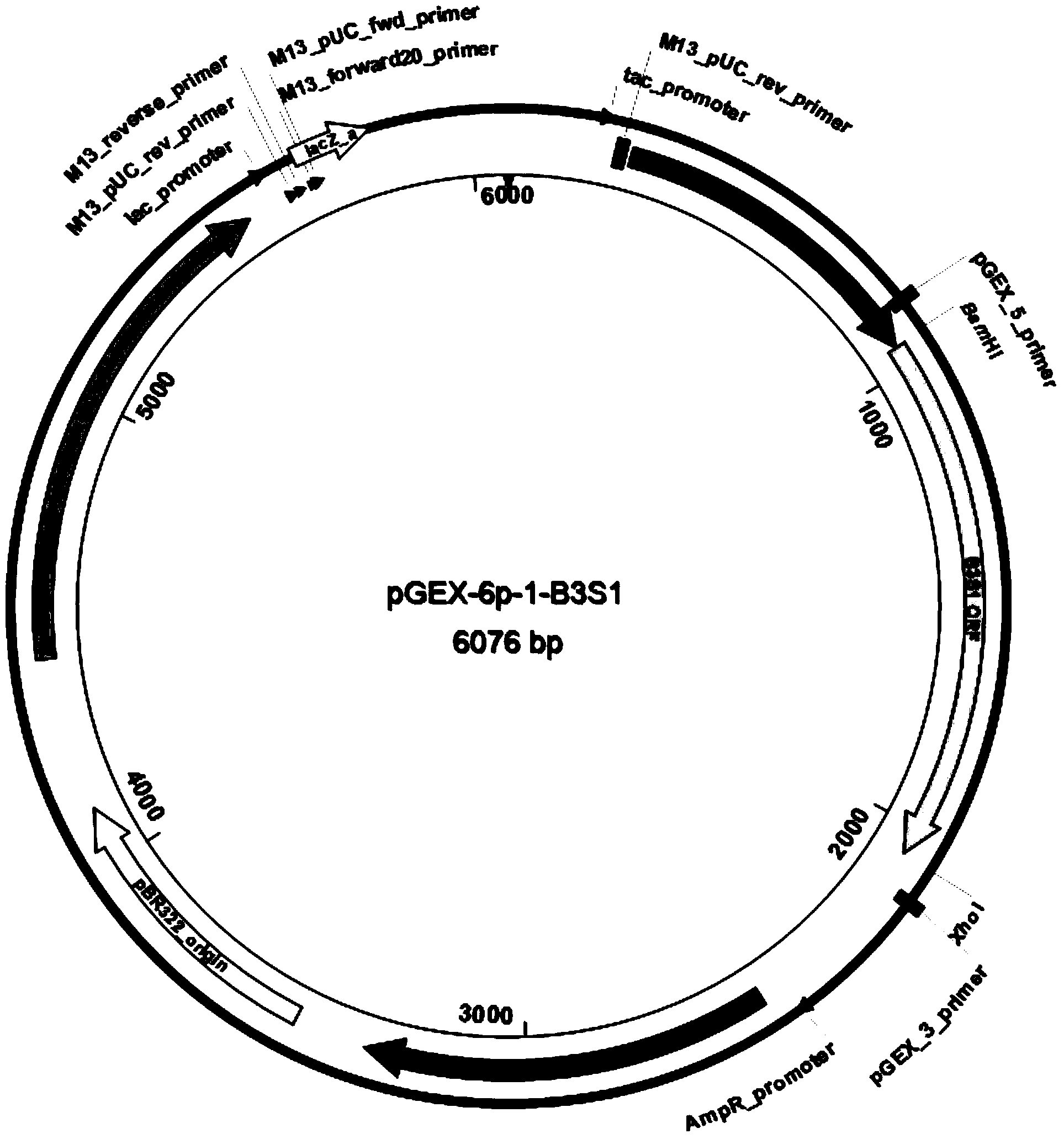 Resistance gene capable of degrading herbicide glyphosate and encoded protein of resistance gene