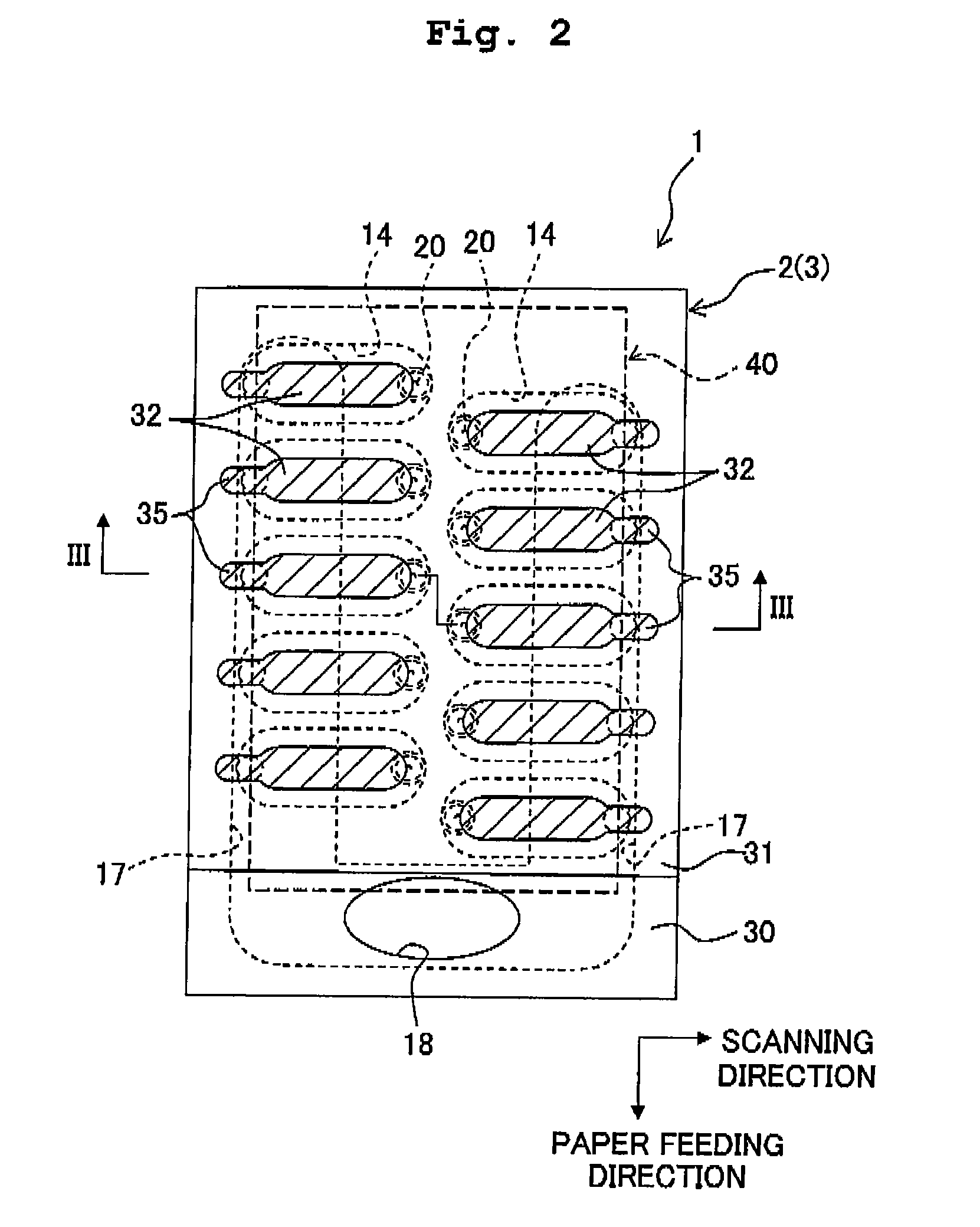 Liquid droplet jetting apparatus