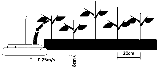 Cotton tip pruning method based on tracked robot