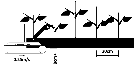 Cotton tip pruning method based on tracked robot