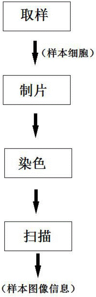 Analytic method for cloud server diagnosis based on cell images