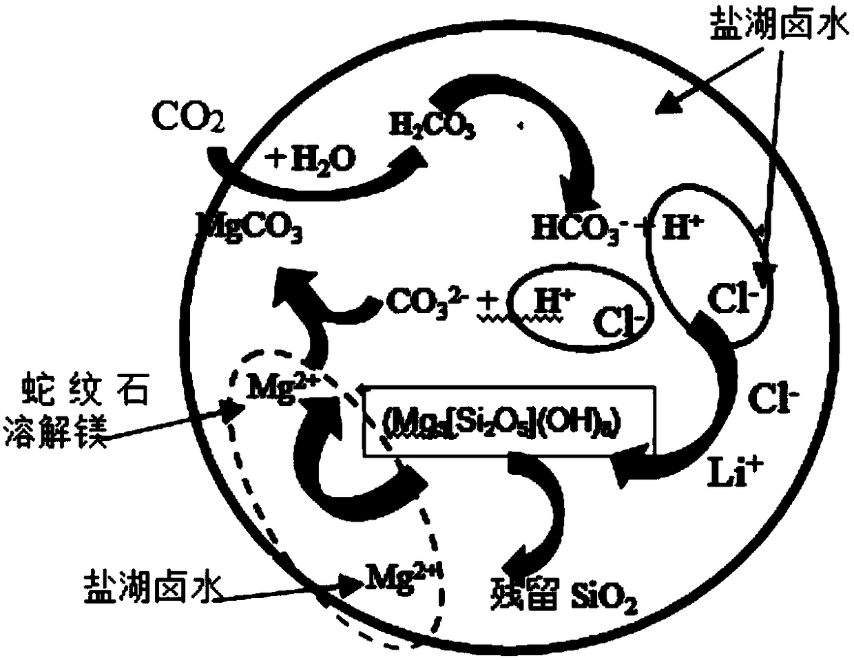 Method for treating salt lake brine by using serpentine