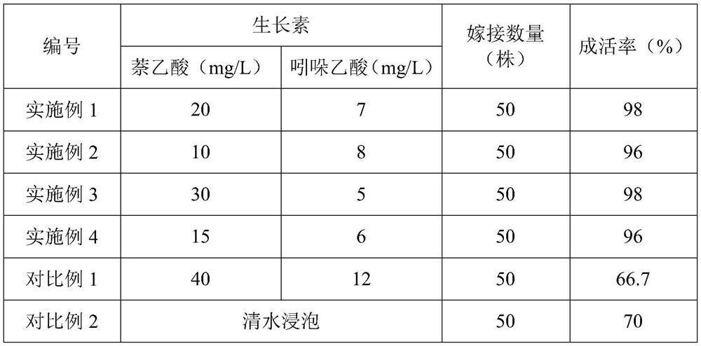 Grafting method for congeneric fruit tree varieties