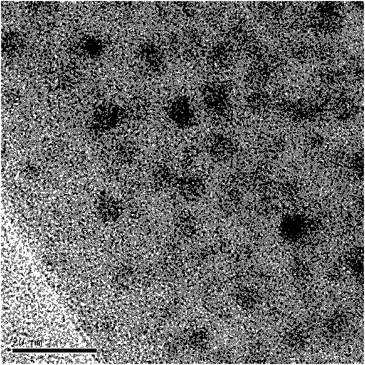 Method for preparing PbSe quantum dot doped fiber material