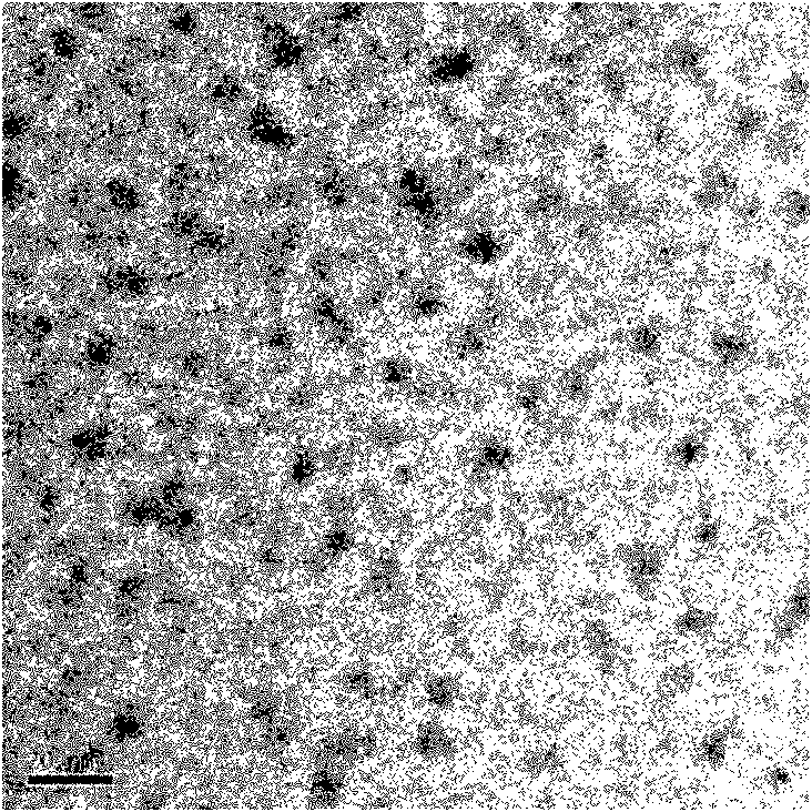 Method for preparing PbSe quantum dot doped fiber material