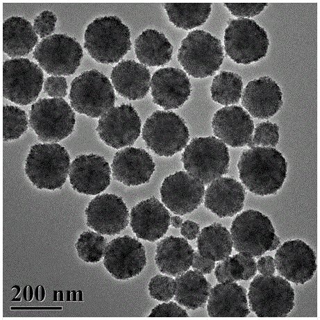 A particle size control method of superparamagnetic iron oxide microspheres