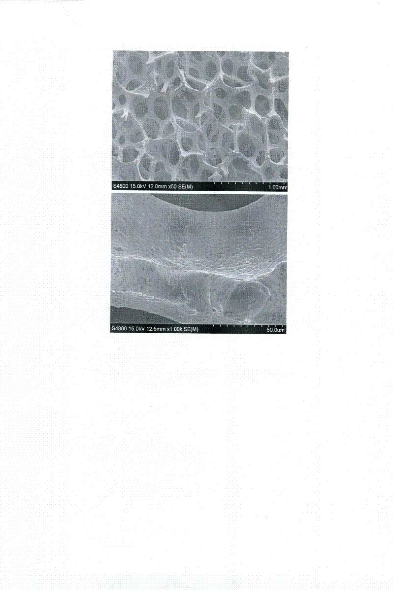 Method for manufacturing porous polishing and grinding tool