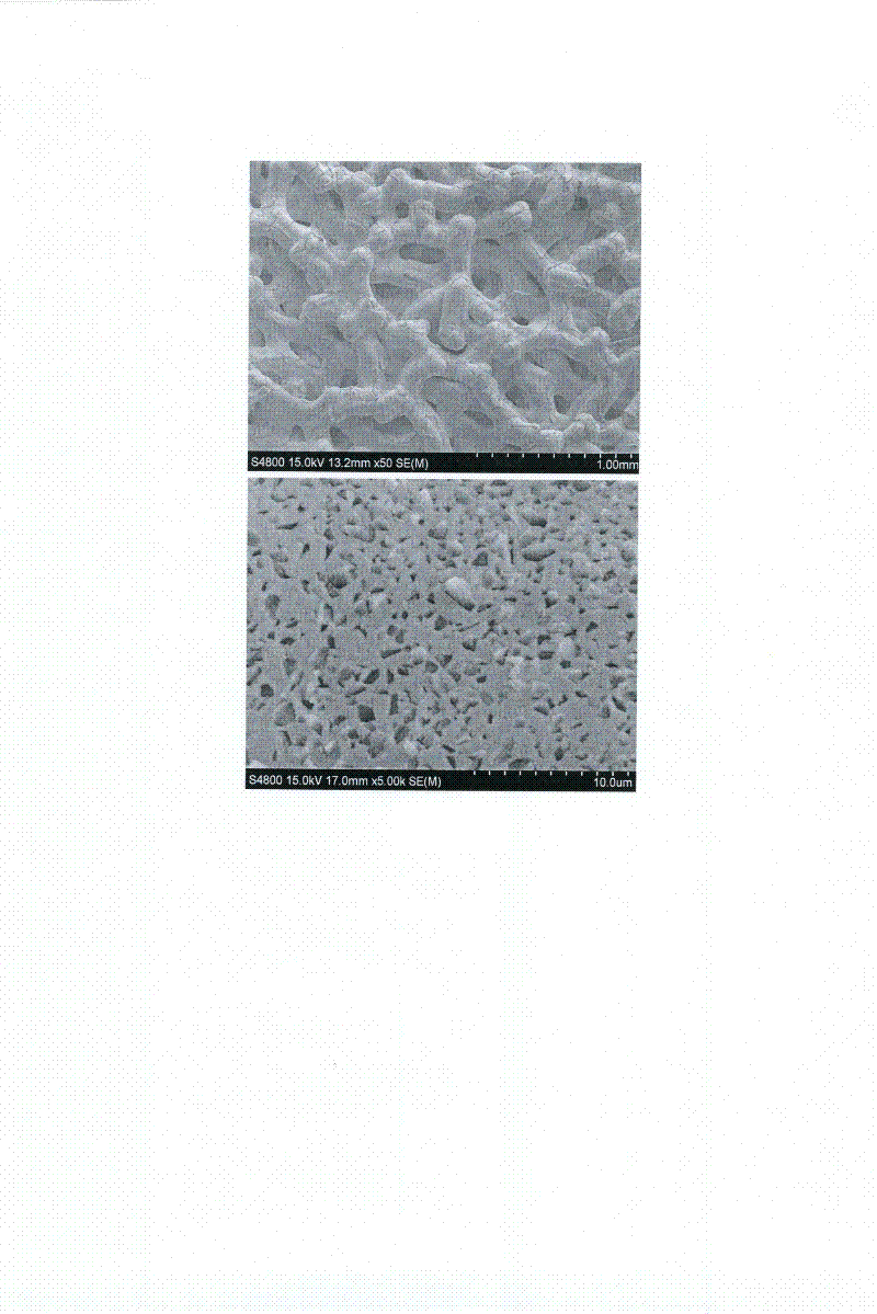 Method for manufacturing porous polishing and grinding tool