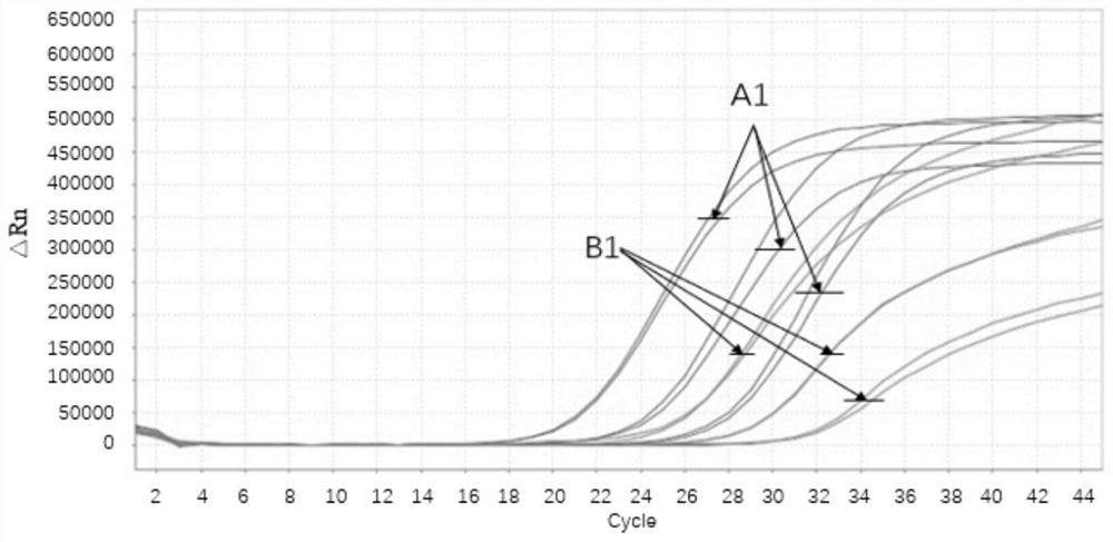 A kind of freeze-drying protection agent and freeze-drying method of RNA amplification reaction reagent