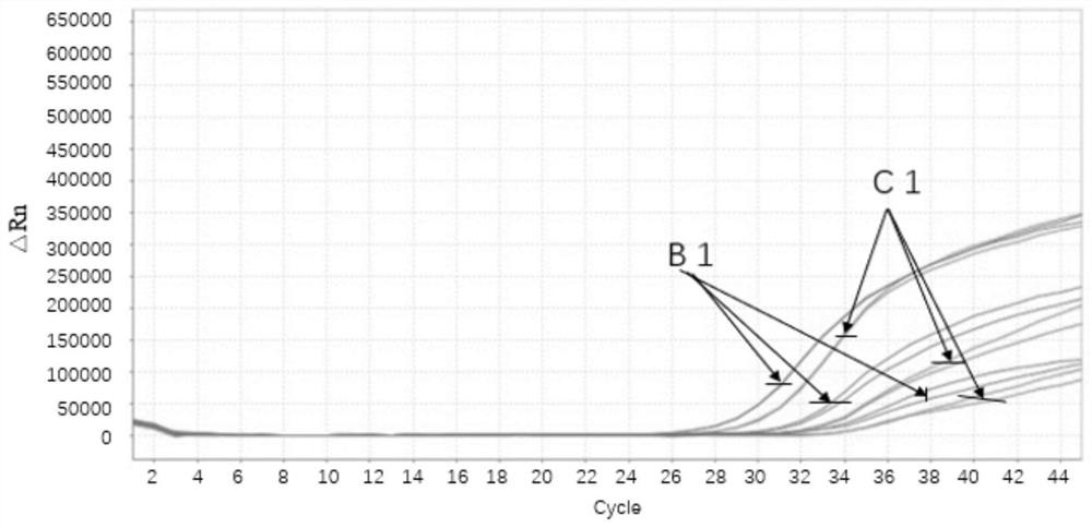 A kind of freeze-drying protection agent and freeze-drying method of RNA amplification reaction reagent