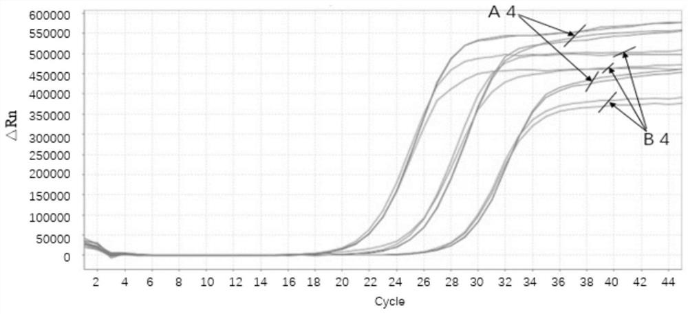 A kind of freeze-drying protection agent and freeze-drying method of RNA amplification reaction reagent