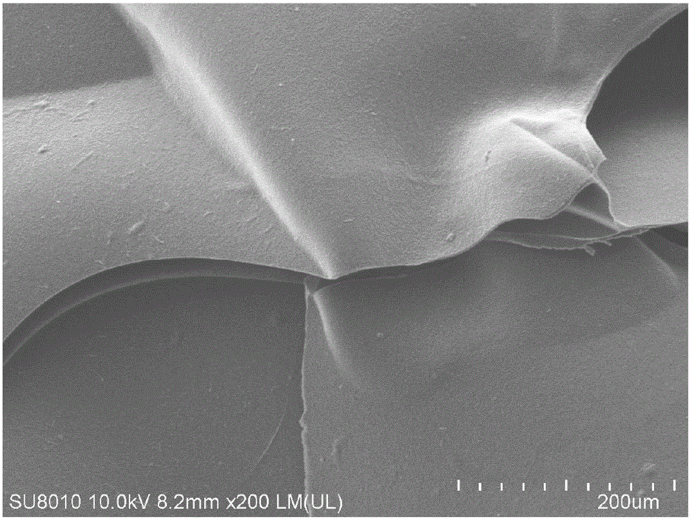 Hydrogel sustained-release carrier for oral drugs as well as preparation method and application of hydrogel sustained-release carrier