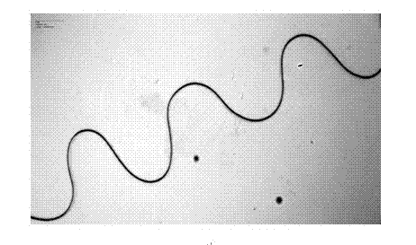 Micro-nano corrugated structure and preparation method thereof, and device and application