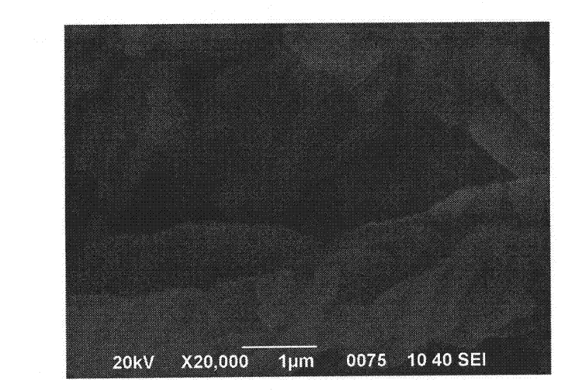 Mesoporous silica particle compound carrier with controlled-release function as well as preparation method and application thereof