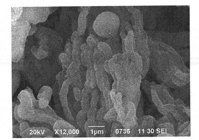 Mesoporous silica particle compound carrier with controlled-release function as well as preparation method and application thereof