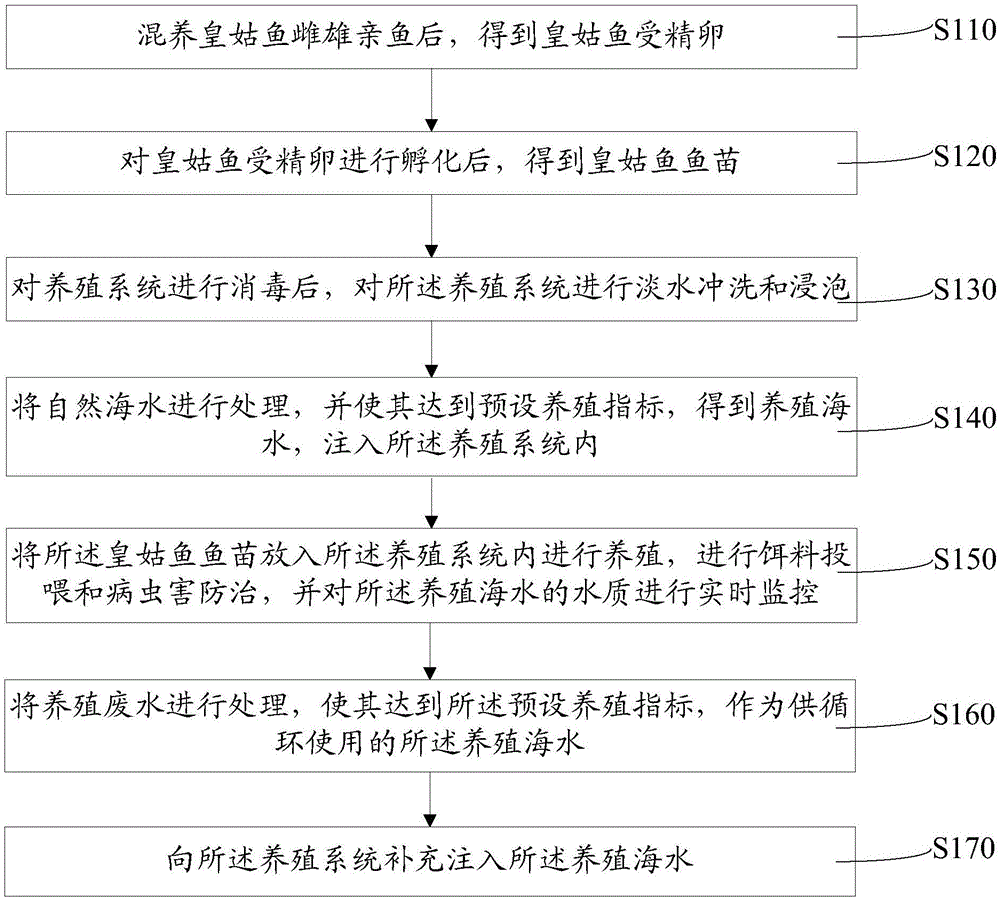 Method for culturing nibea albiflora