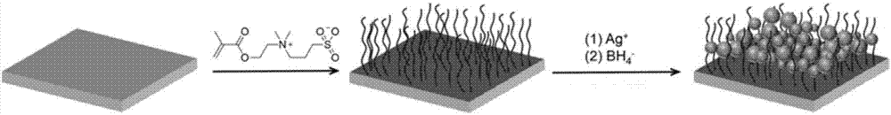 Method for modifying polyamide composite thin film