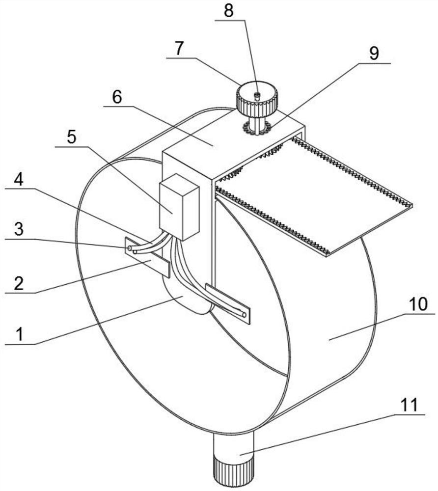 Adjustable radiation source fixing device for gamma radiation monitor