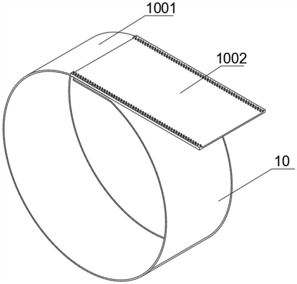 Adjustable radiation source fixing device for gamma radiation monitor