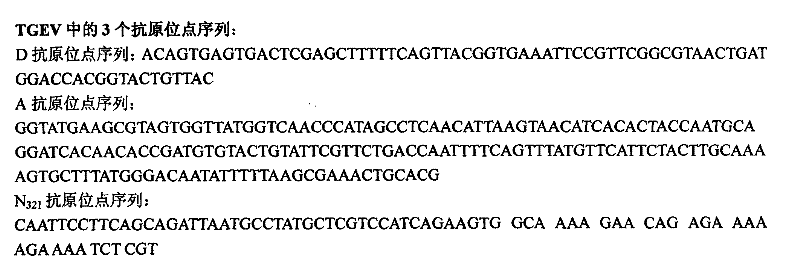 Recombinant salmonella choleraesuis, bivalent genetic engineering vaccine and application