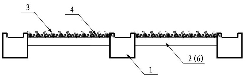 Shrub mixed planting method for railway slope in desertification region