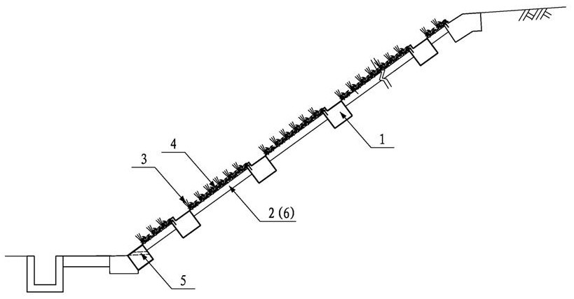 Shrub mixed planting method for railway slope in desertification region