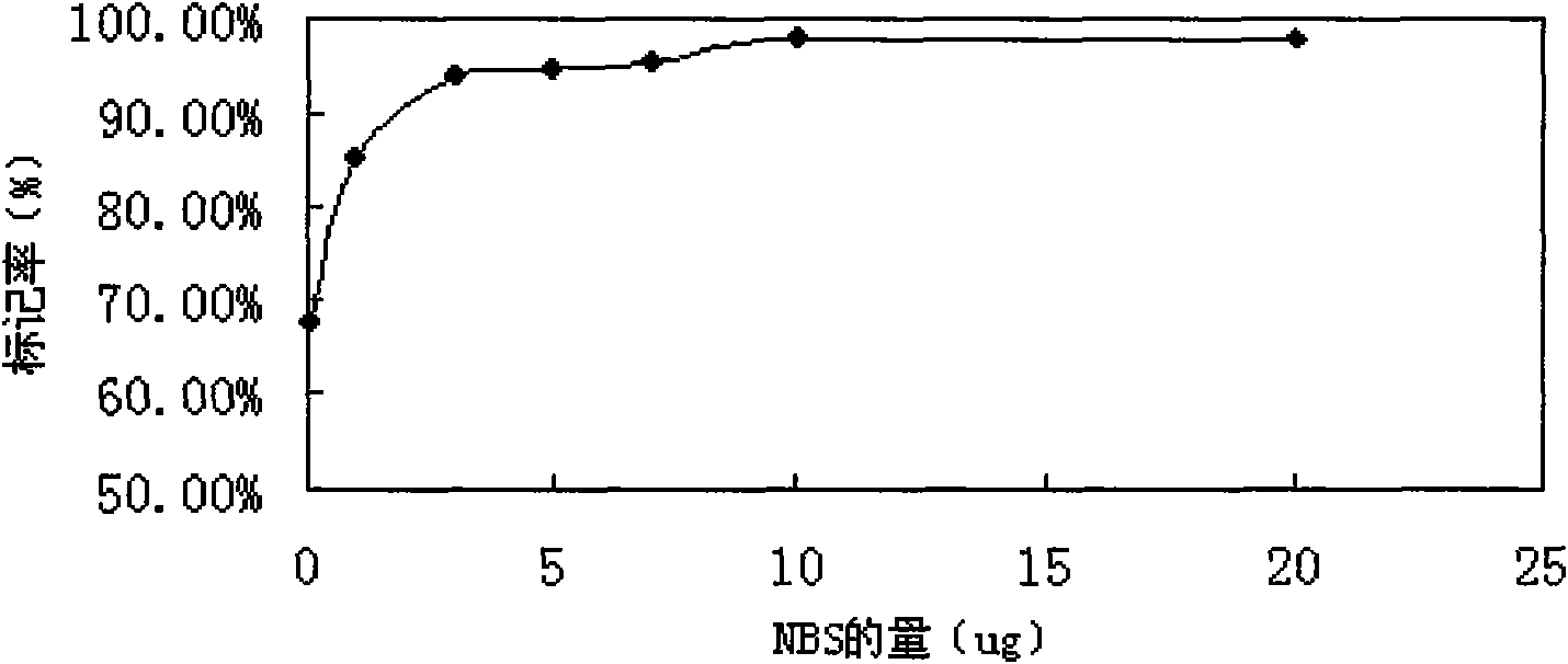 Malignant lymphoma radioactive target molecule imaging agent and/or target therapeutic agent