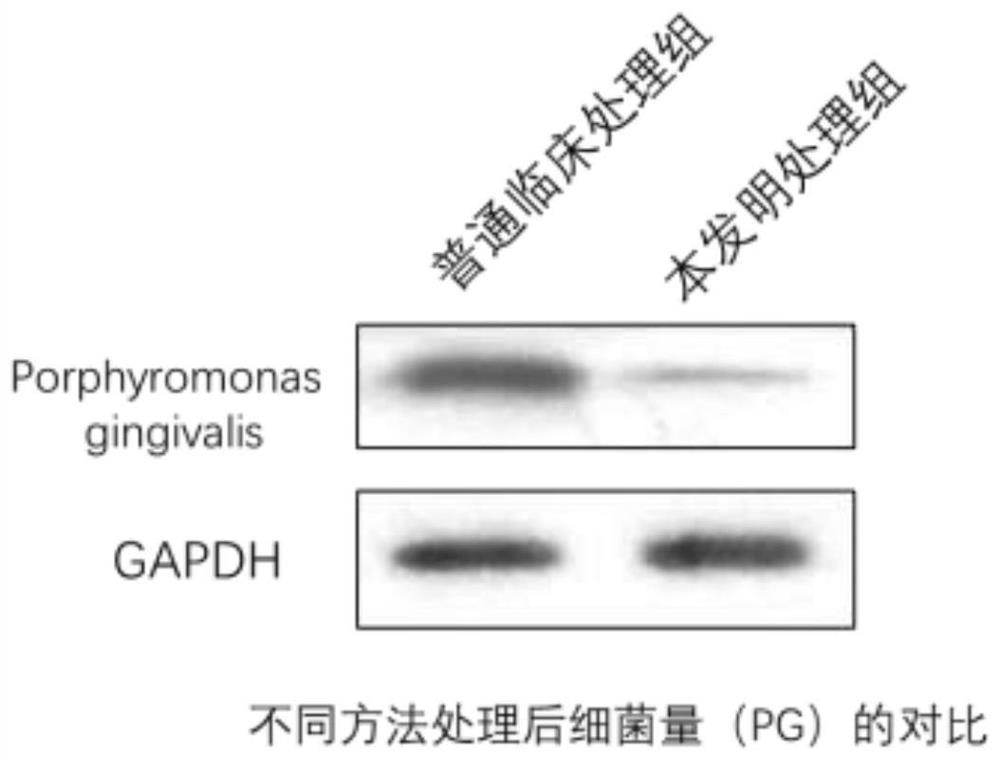 Tooth root surface treating agent