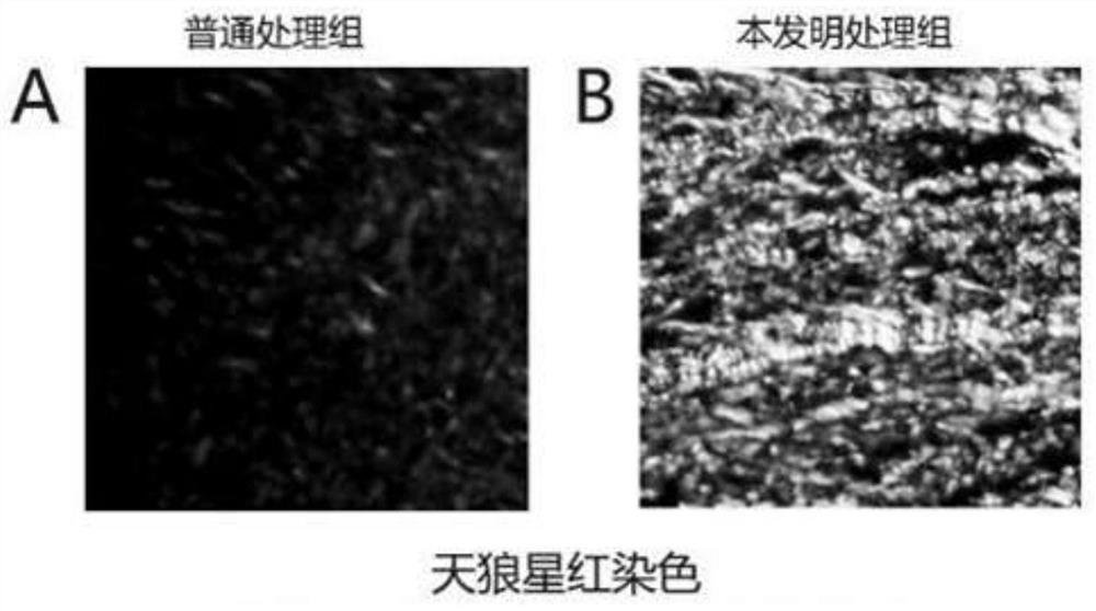 Tooth root surface treating agent