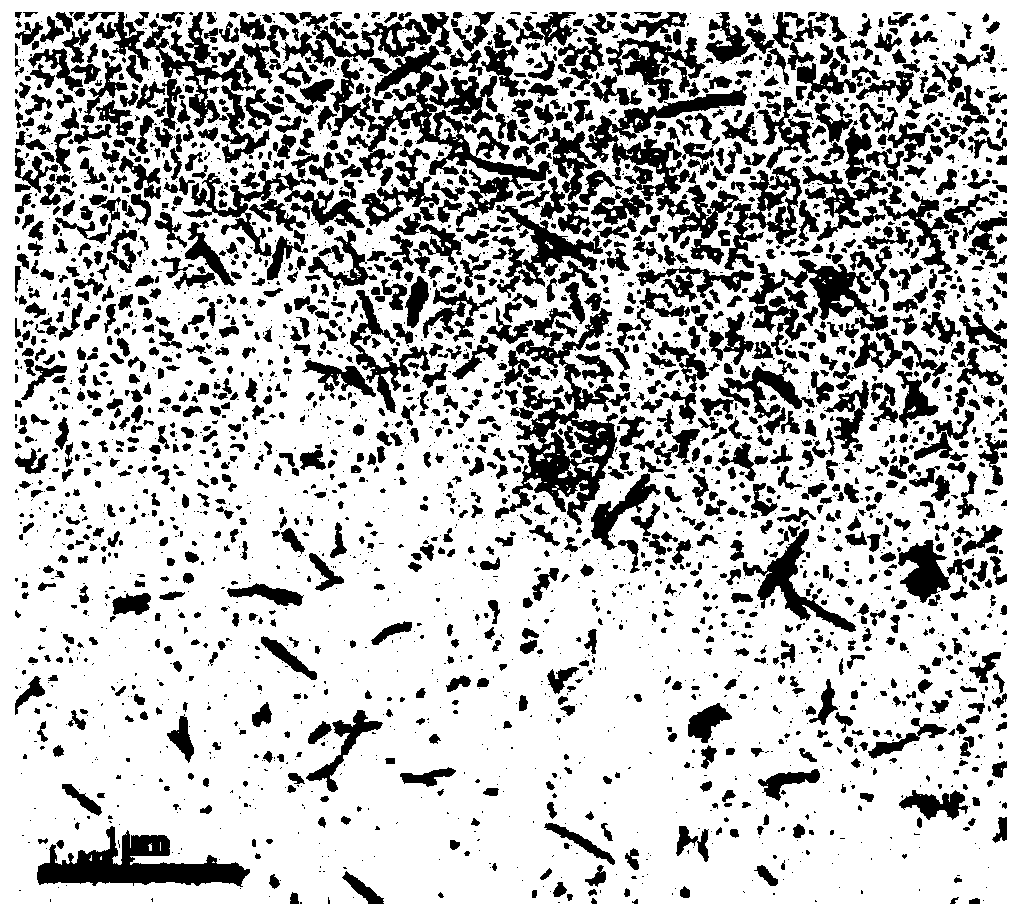 Cellulase suitable for preparing cellulose nanocrystals, and application thereof