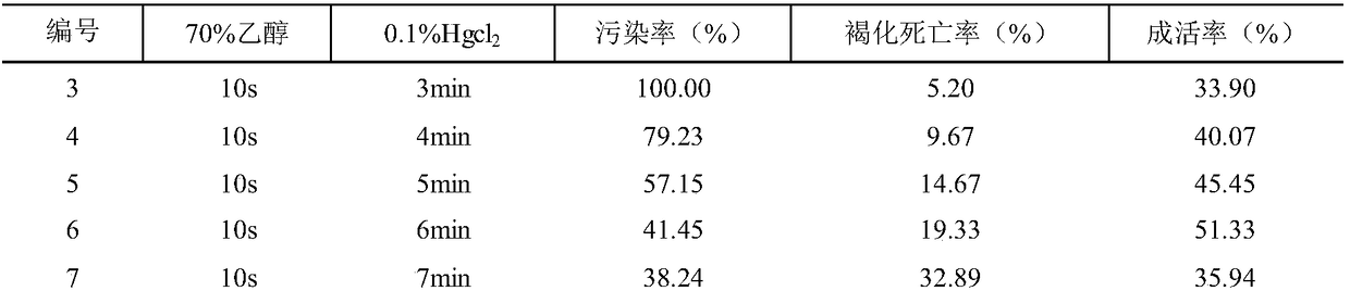 Tissue culture method for Hudieying