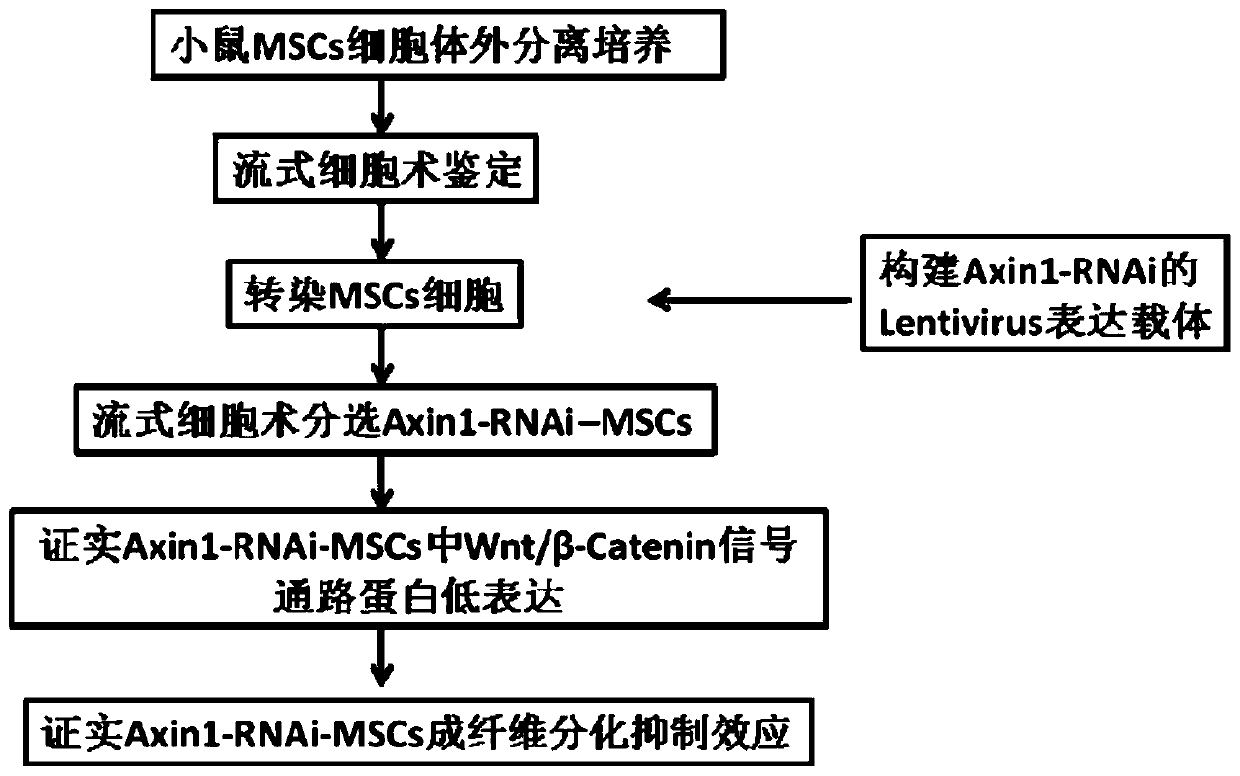 A method of inhibiting fibroblast differentiation of MSCs, MSCs and DNA fragments