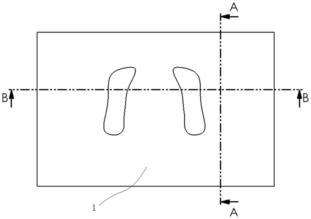 Plantar foreign matter detection device