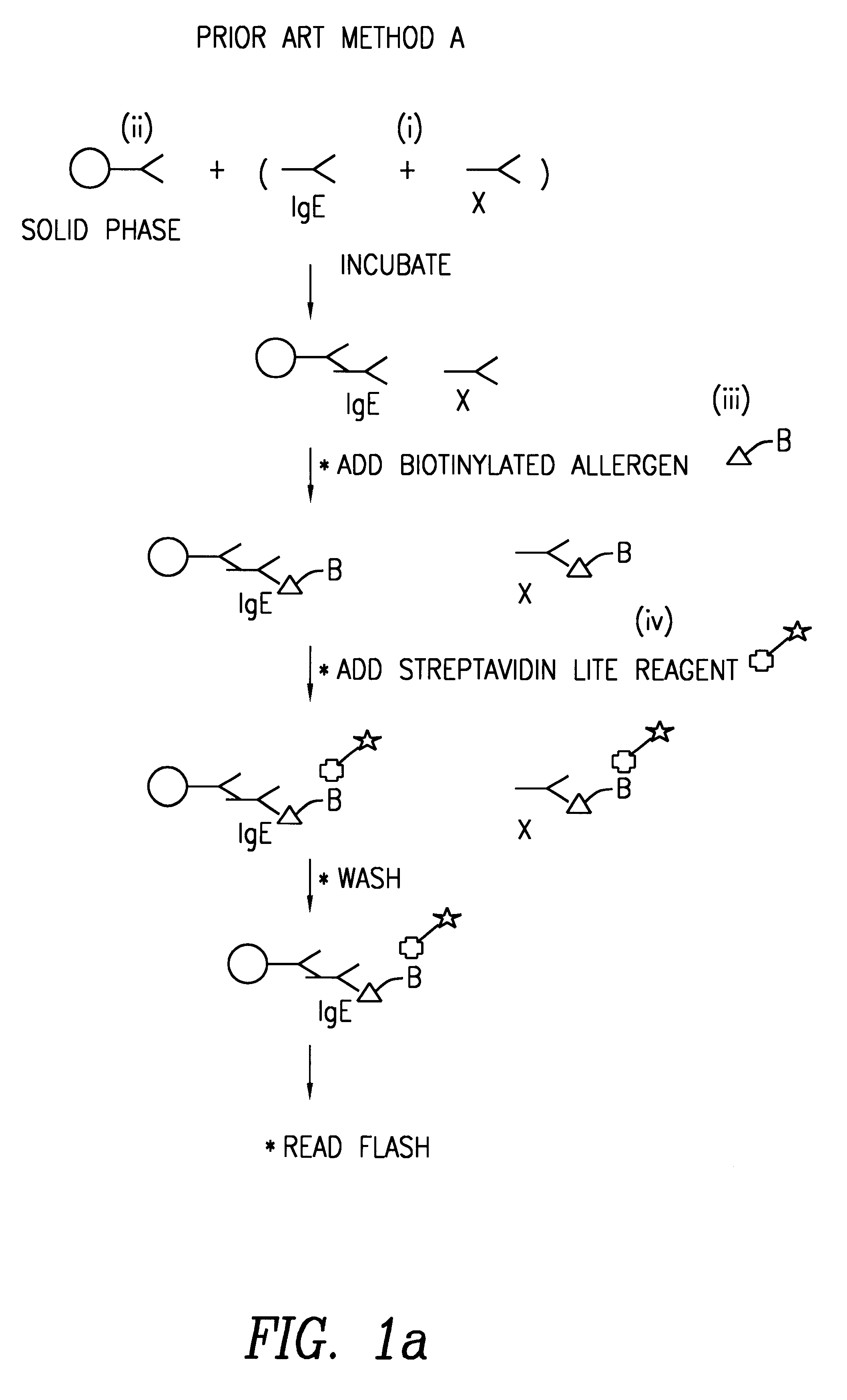 Method of detecting an antibody in a liquid sample