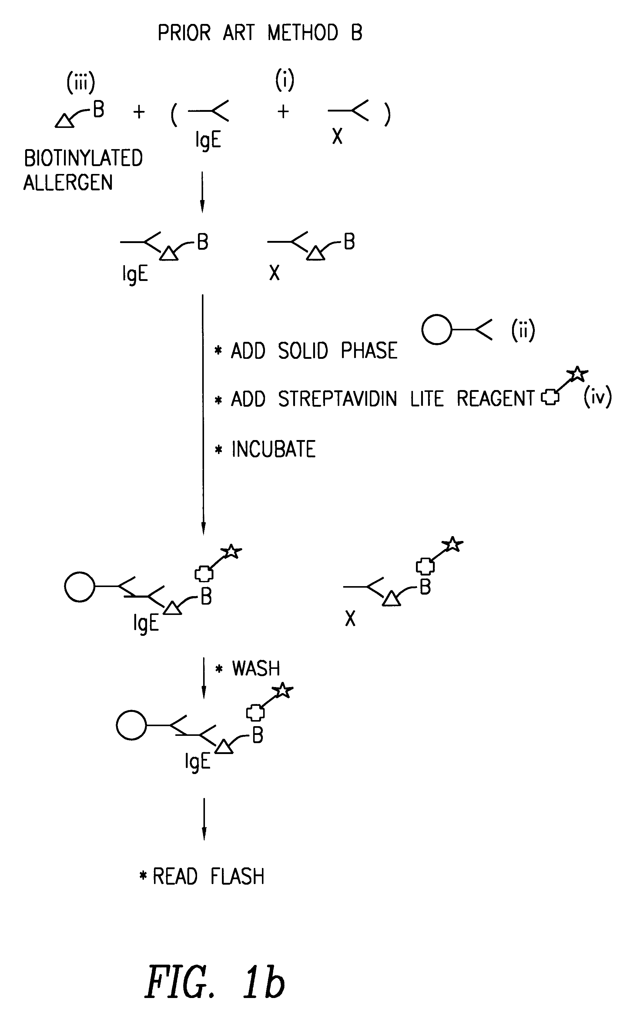 Method of detecting an antibody in a liquid sample