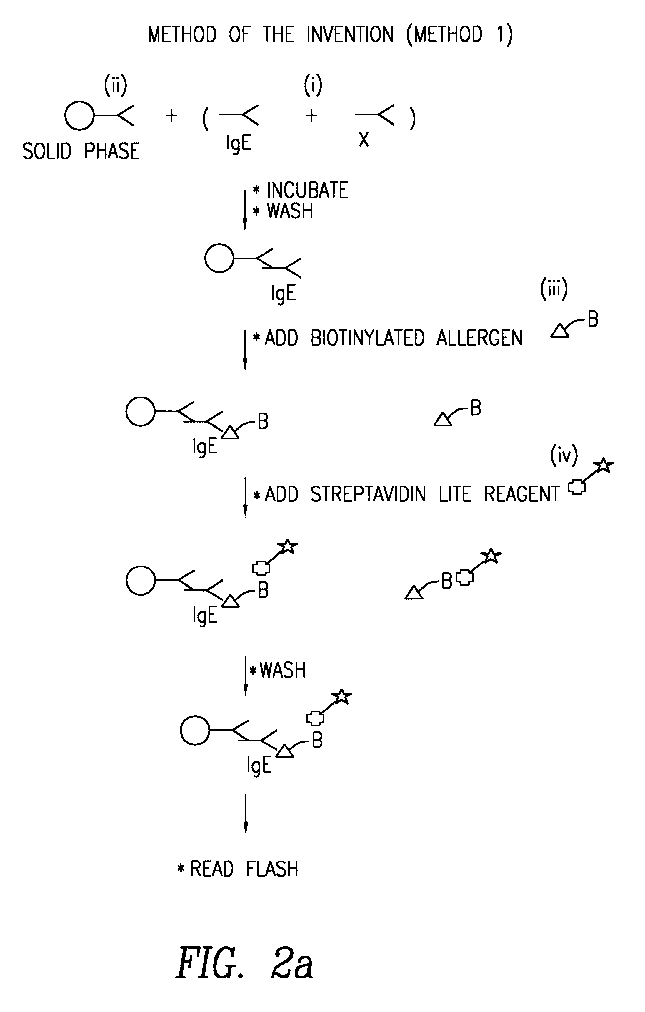 Method of detecting an antibody in a liquid sample