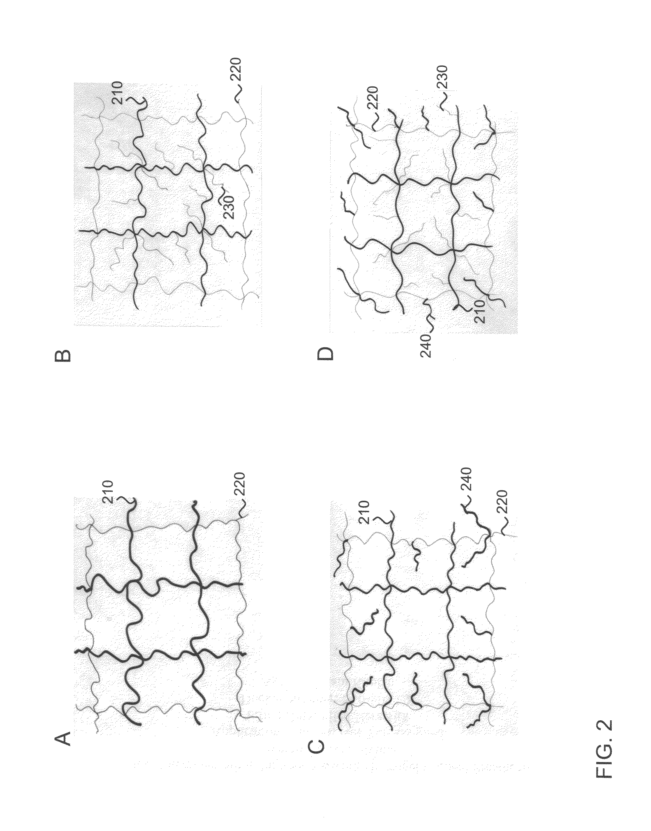 Interpenetrating polymer network hydrogel corneal prosthesis