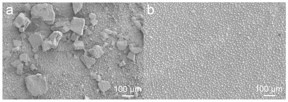 A protein product that immobilizes targets and removes on demand