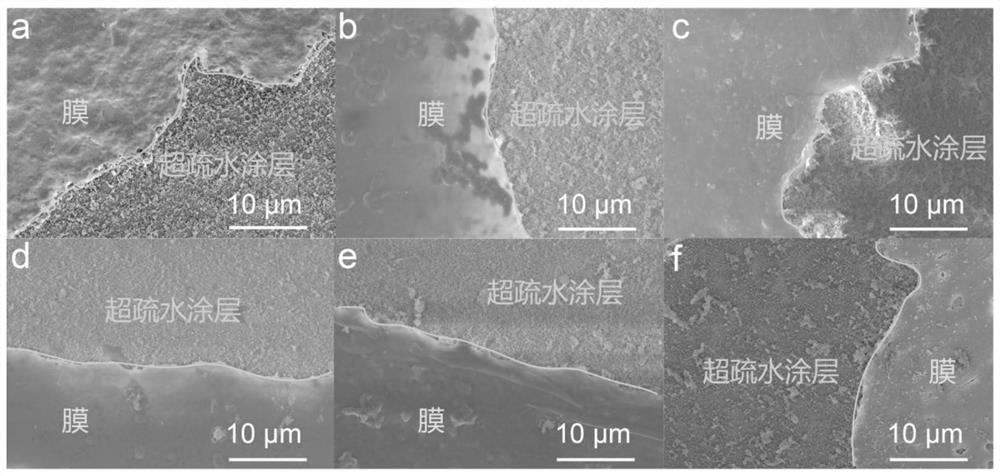 A protein product that immobilizes targets and removes on demand