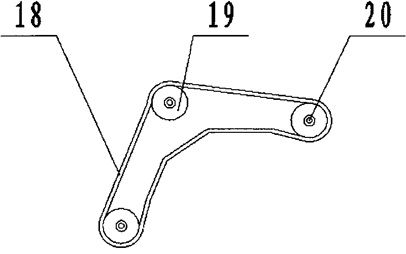 Belt type precision seed-metering device for rape