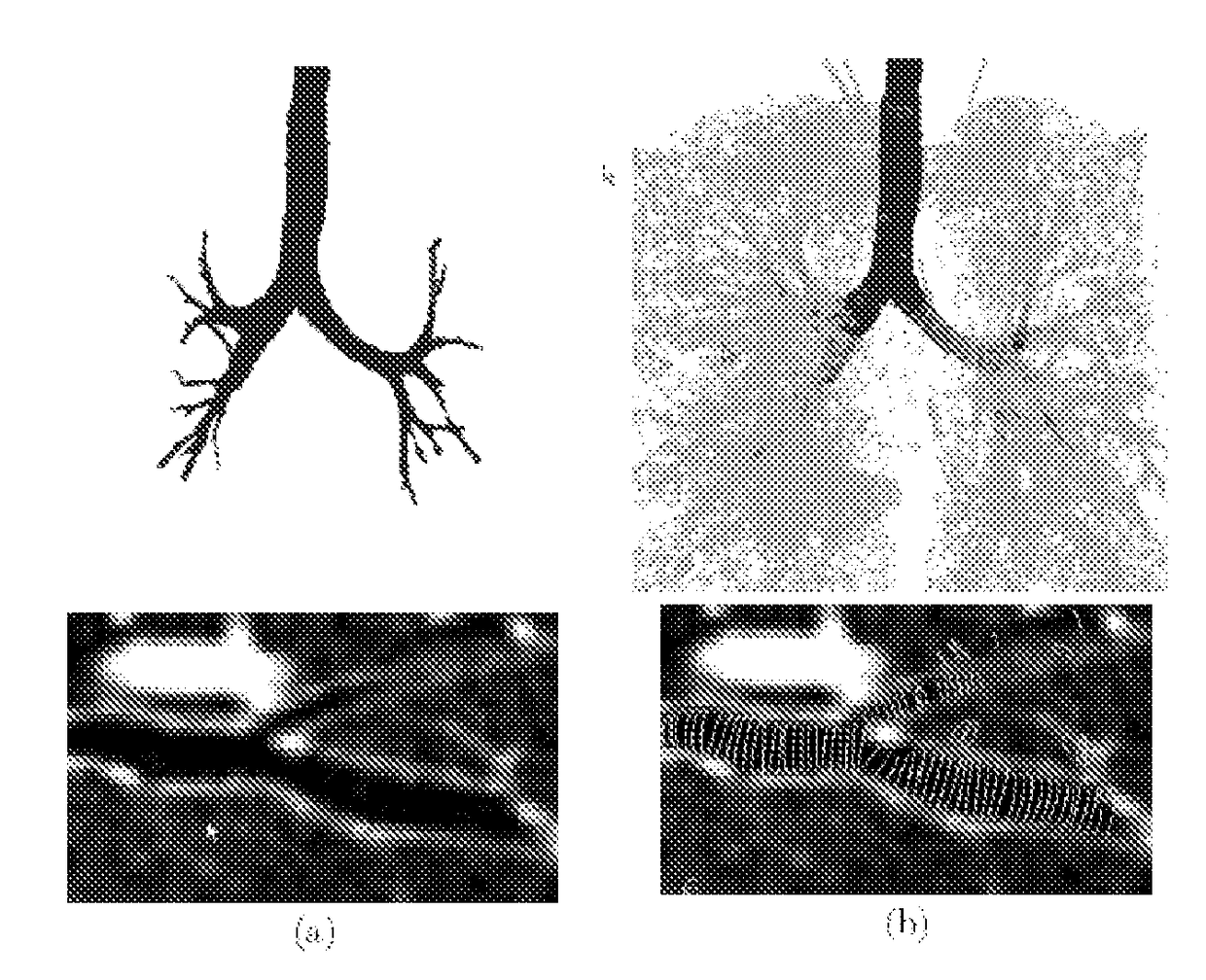 Medical image reporting system and method